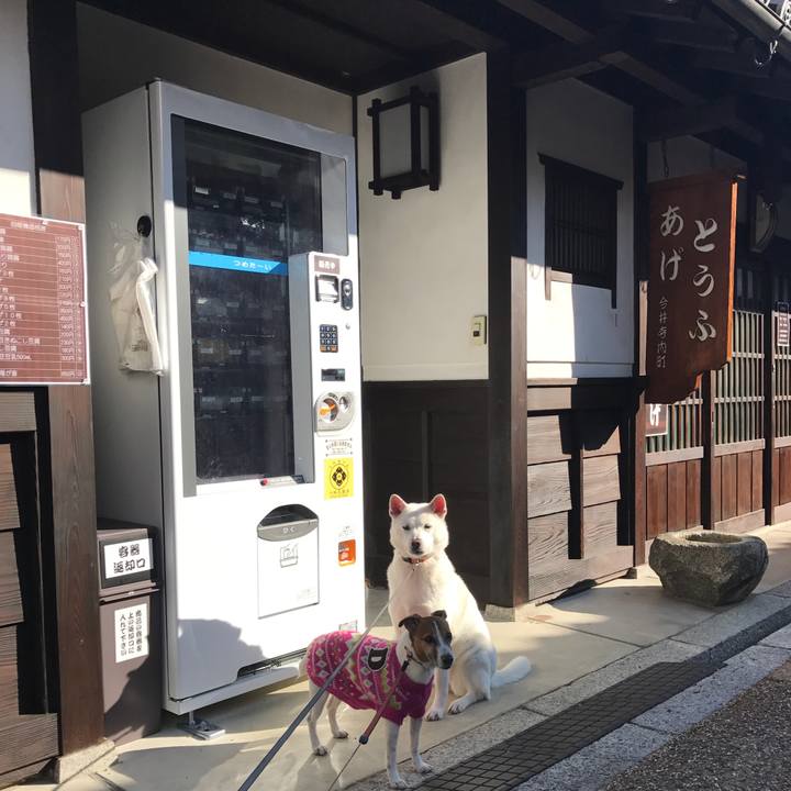 9265cf8d d5fd 4668 8de3 8e9a0a7a5b74