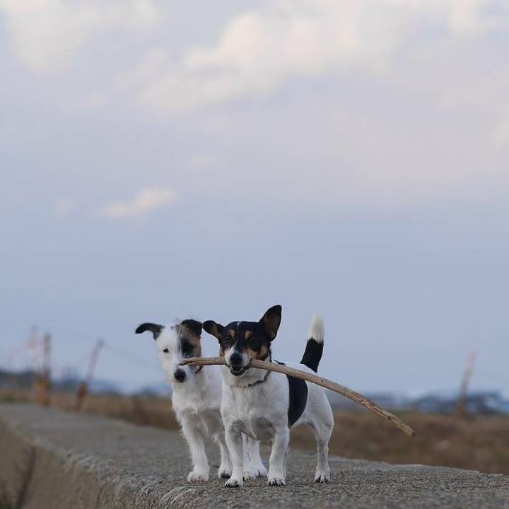 926669b6 2de8 4fdb 8cbd 7fc38dfa5d8d