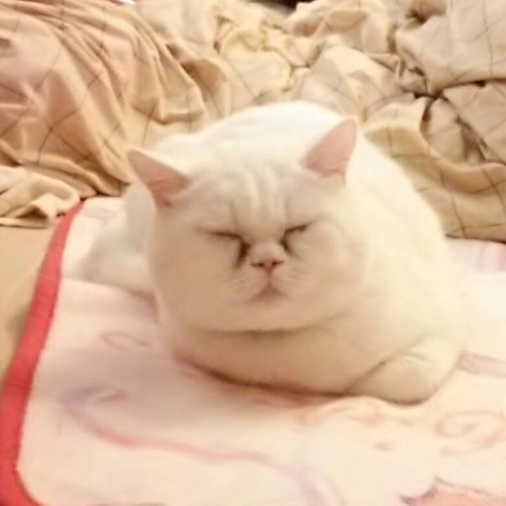 9266cd2e b7d3 46e9 bbb0 c968bd59738f