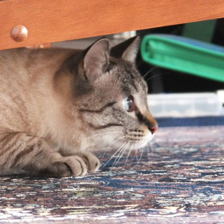 926747eb 0320 4155 8917 da49de46fd97