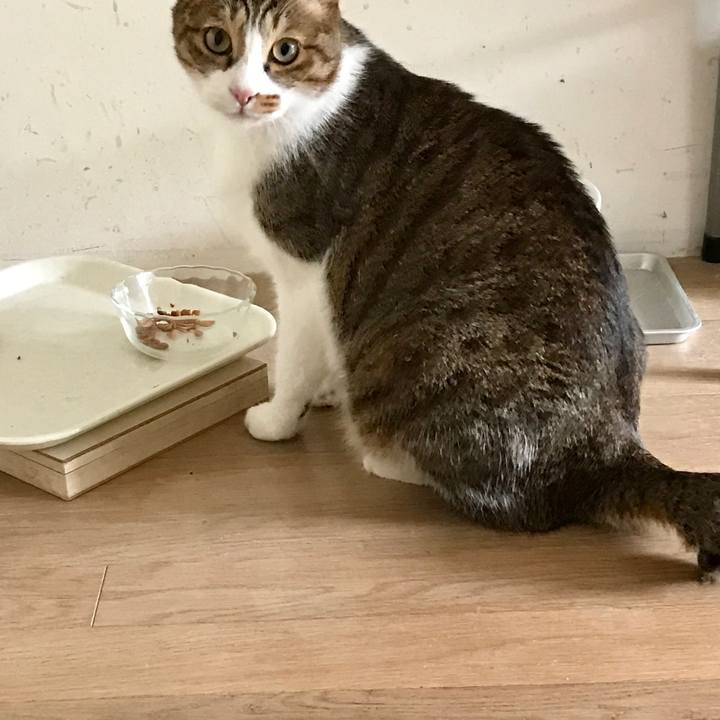 926770b4 bf98 417f b2ec afc97fa5cf66