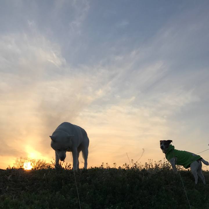 9267f06b b2a9 43b5 a9a7 9760a3a08163