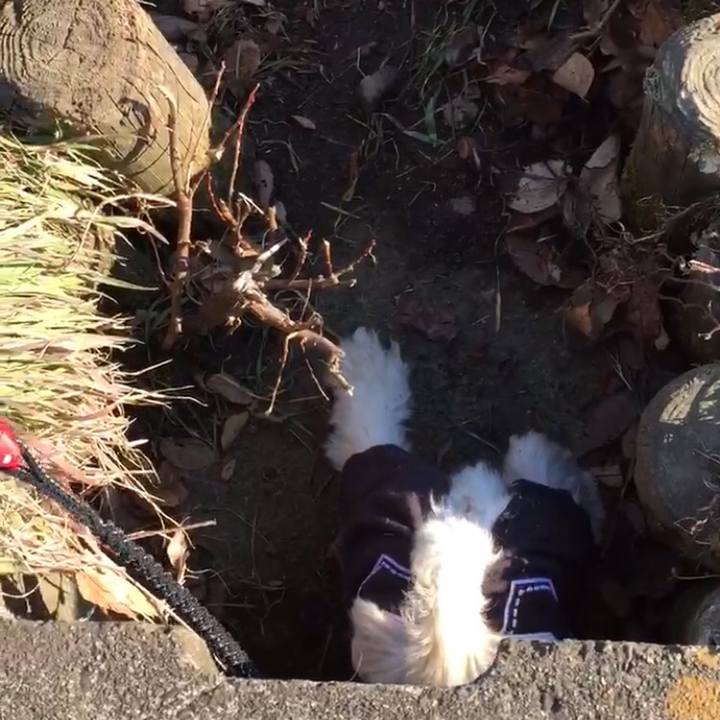 92683bcd 6d7d 4819 bbfb fbaee2ecebcc