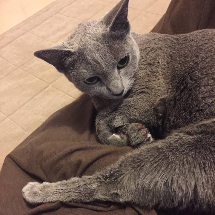 92683c0b fd5a 4b68 8ad4 e0b93afd6915