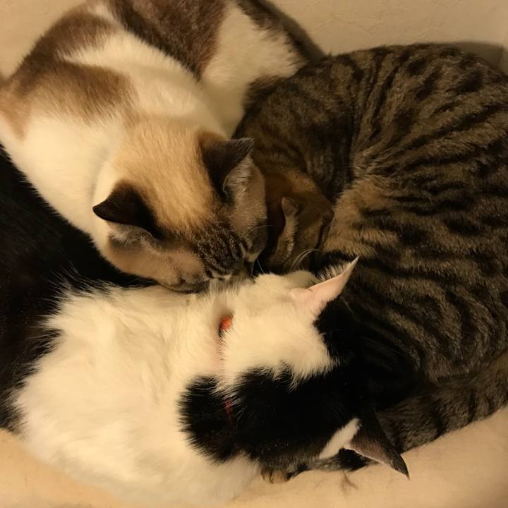 92684754 d9bb 421f 9542 81dbac70fa74