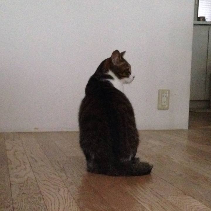 9268a94c 88c9 4b47 9eb2 c2610df03e41