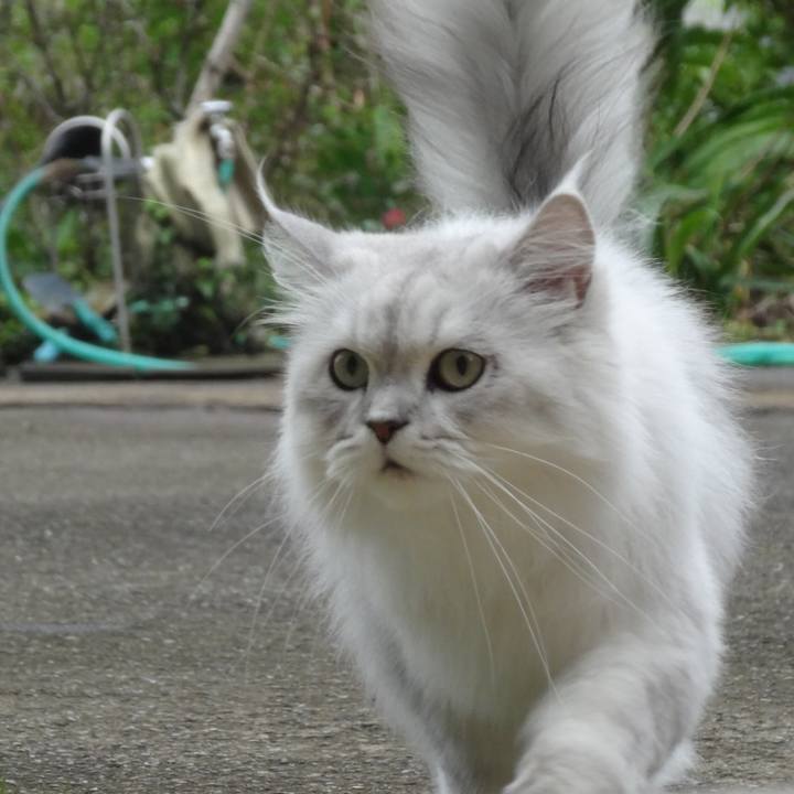 92693ba1 8ba7 472f ae92 7f065882b081