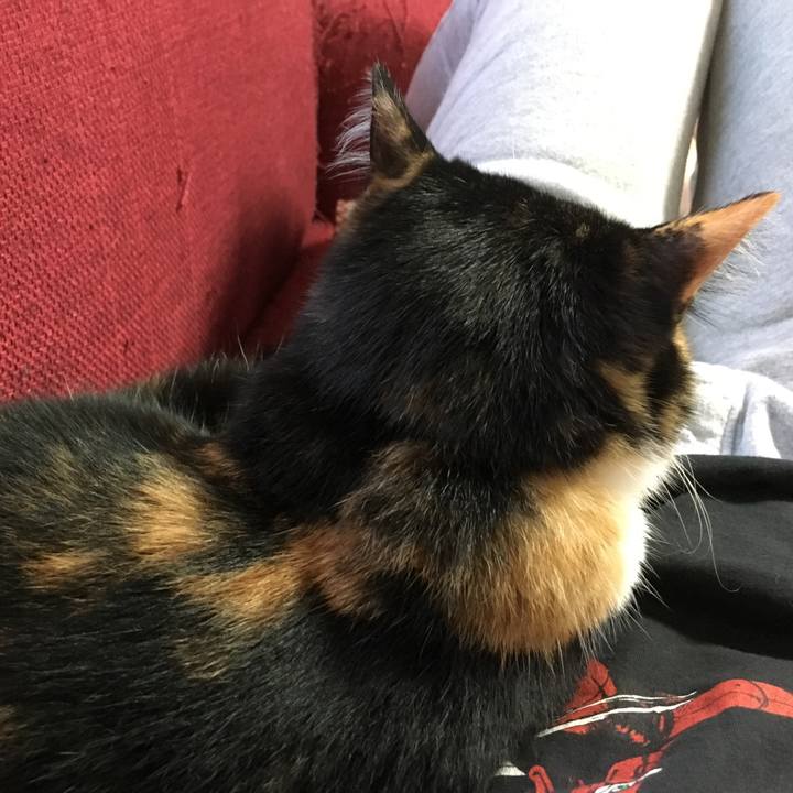 92694c84 cf51 4ac4 a3d3 8b8d8400519f