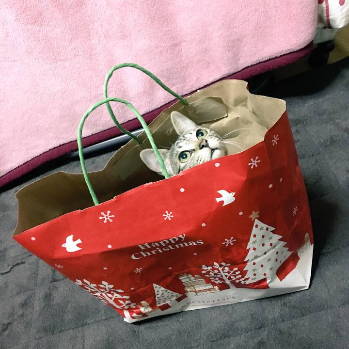 926a3f77 87da 4037 a73a d6dae9e9e76c