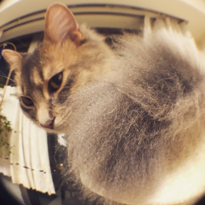 926a7e42 fbbb 47ab ad0d 4bd0ec91df33