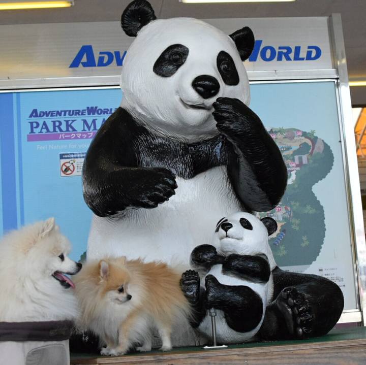 926a91eb 47a0 45a0 9dde 5aa3e1c3ab19