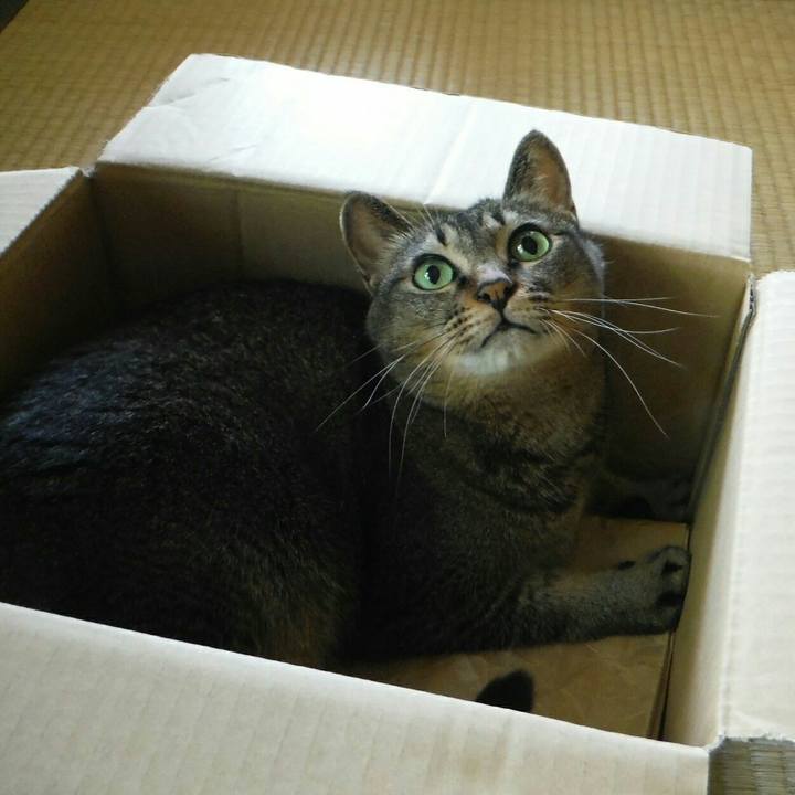 926af9c5 8d87 4735 bf4d 9cc424a2b64b