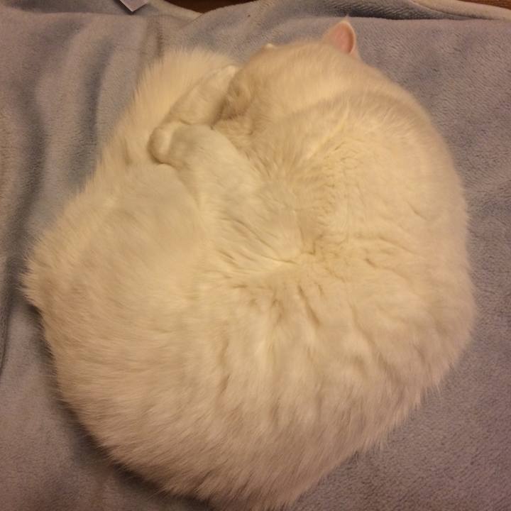 926b2de5 08fc 4390 9deb 07bb4f1636de