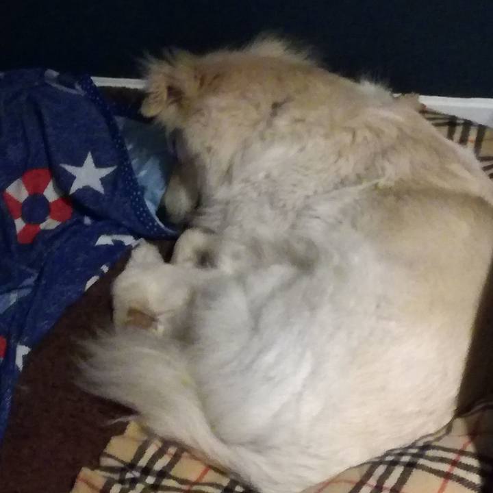 926bb650 037f 4ef6 9665 5c8ed6bb2289