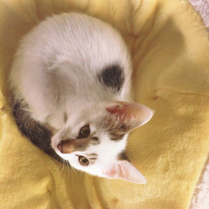 926c4ced ff5f 4845 bf2e 193f421536f9