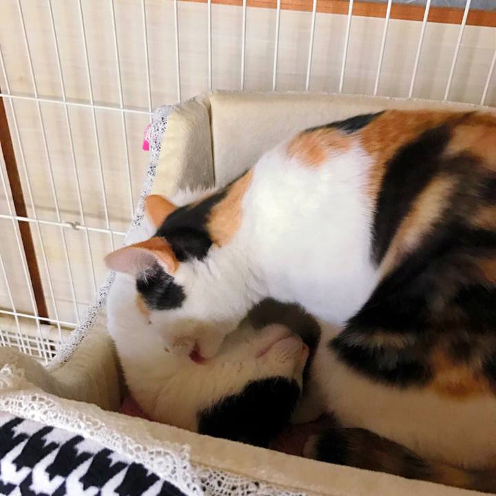 926c9e71 c019 4c41 89de 342183dc17cf