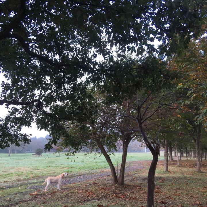 926cef7e 7134 48ea 833e b597f4fdf83d