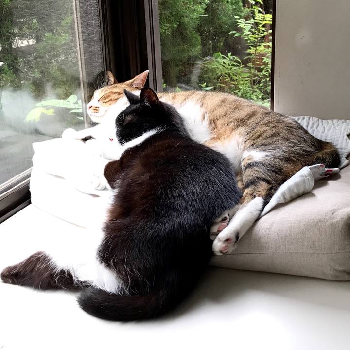 926d0615 732c 48e3 b313 95b9fc26647d