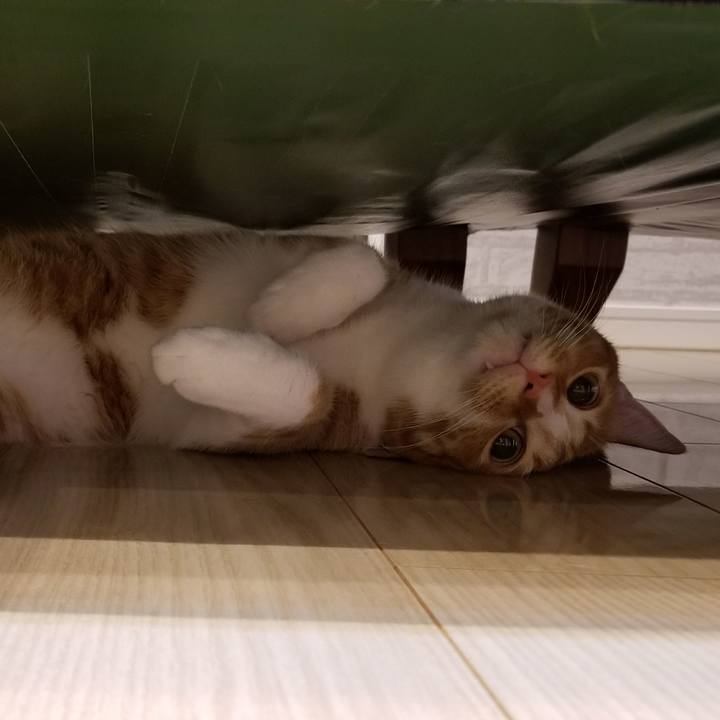 926d0a01 4309 4f2b 81eb c988c0451e07