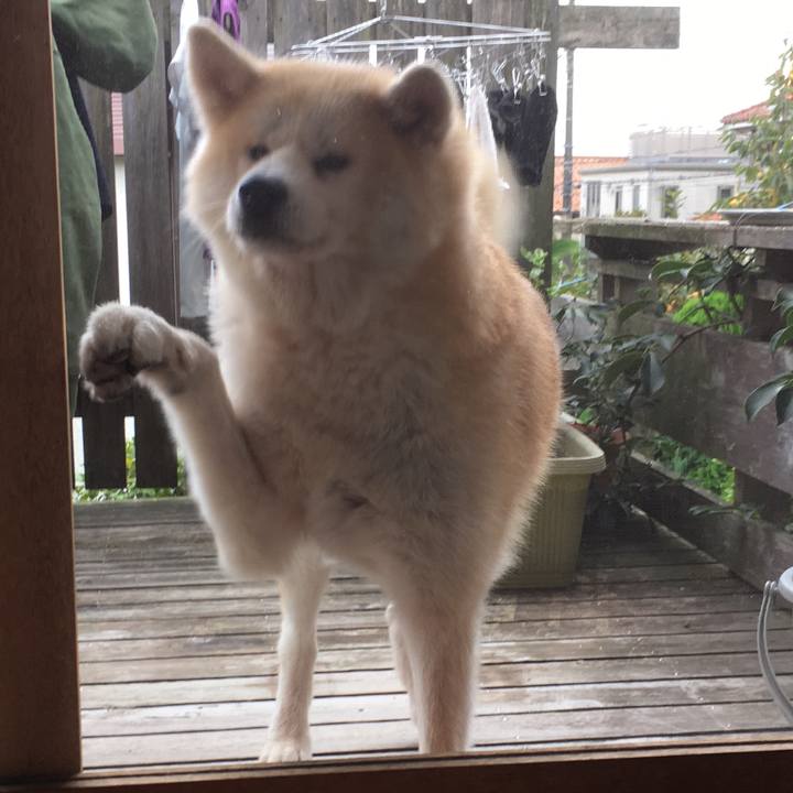 926d3da2 4ba8 4c93 b5dc 85611ec3406b