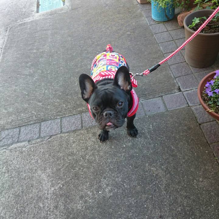 926db0b8 1abe 458b 91a2 df14c9170edc