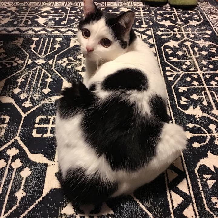 926e41e2 57d0 4a9e b1cc 415c0adfba05