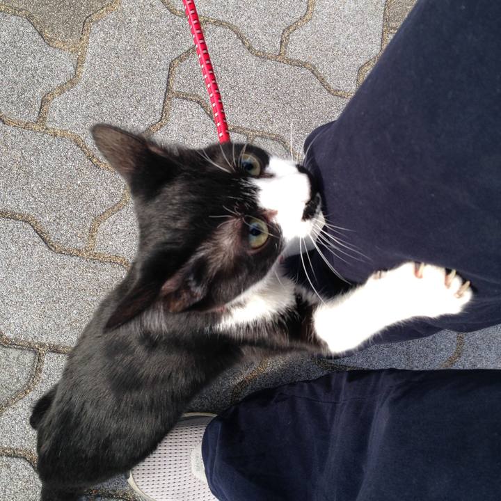 926e7831 efb1 431b 9e27 37f2c6d50909