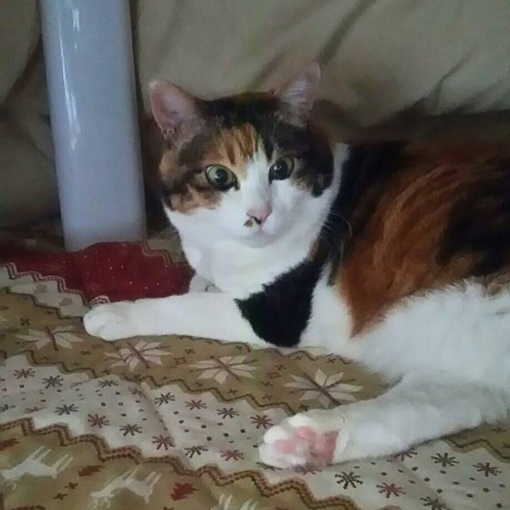 926e9be3 e689 4898 a3f5 ac02e08f4a69