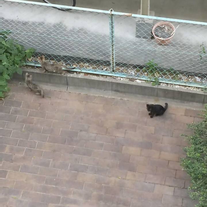 926f064a 0002 49e5 8867 eaf697bc32ba