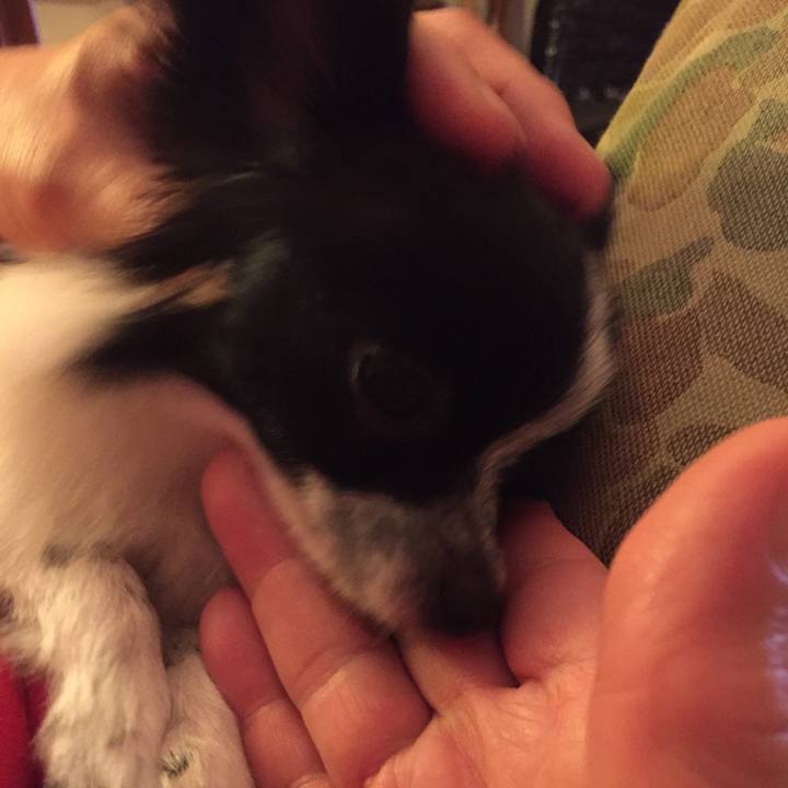 926f303f e38e 46d2 8a1d d6d7238d3e9b