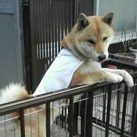 926f43de bff6 46f7 8589 3a8a2d1454e4