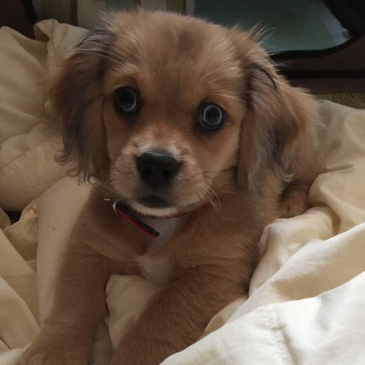 926f516e b248 4807 aac1 aa3f5820007f