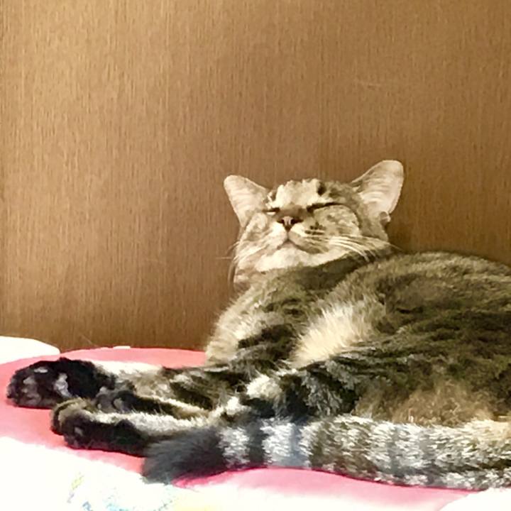 926f8bcd 5a5f 41df 8878 f973f548c88d