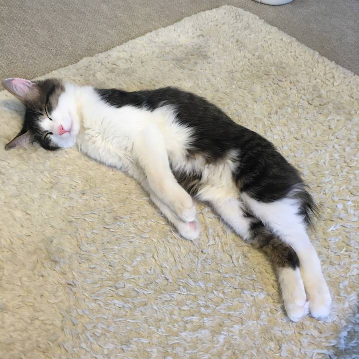 9270bfd0 bed9 4f0f aa02 5d57f8b16708