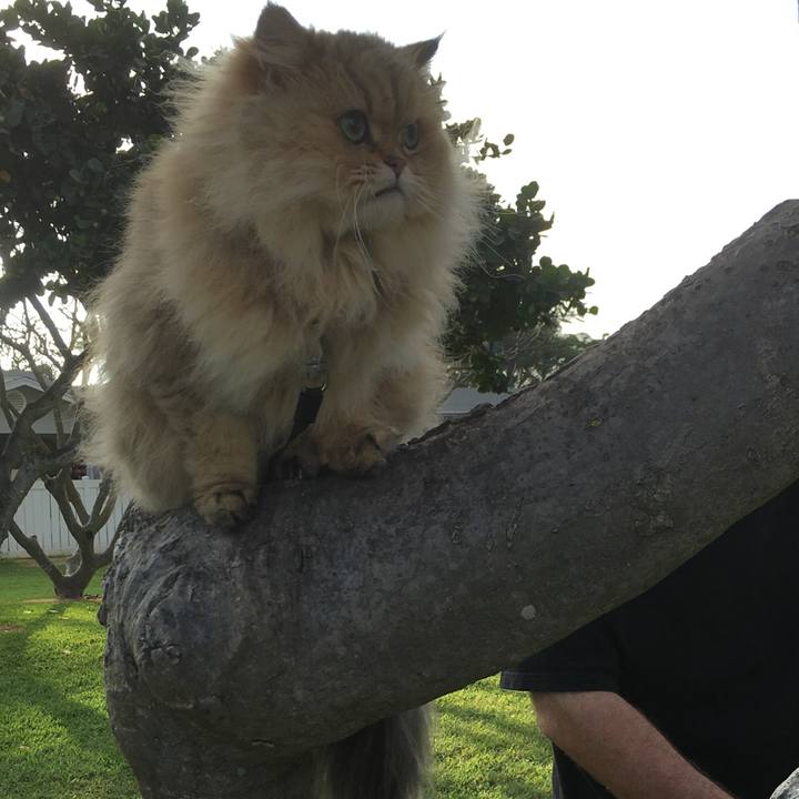 9270c993 8f27 4e5c a031 02639eecab71