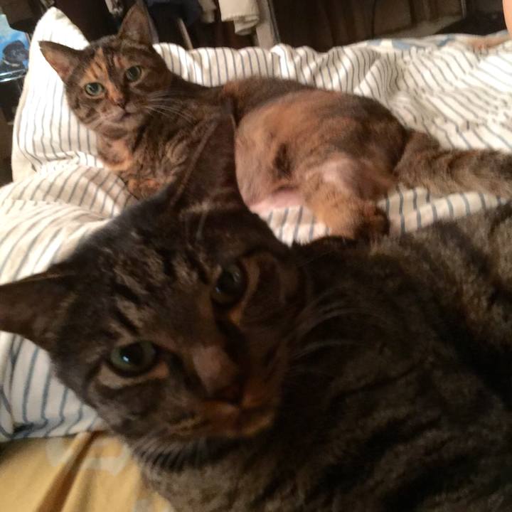 92710c48 9876 47b6 8a8e dd4ce5c05b9d