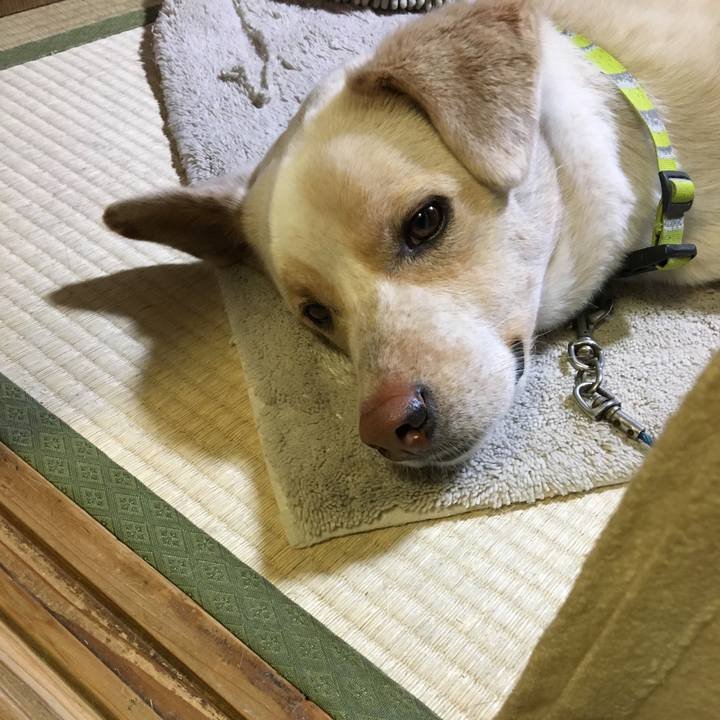 9271108c 2880 4104 b436 1f150f42e44b