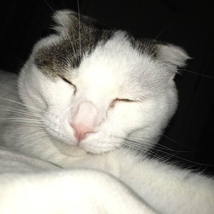 92719747 6303 441f be3b 73a735b051f5