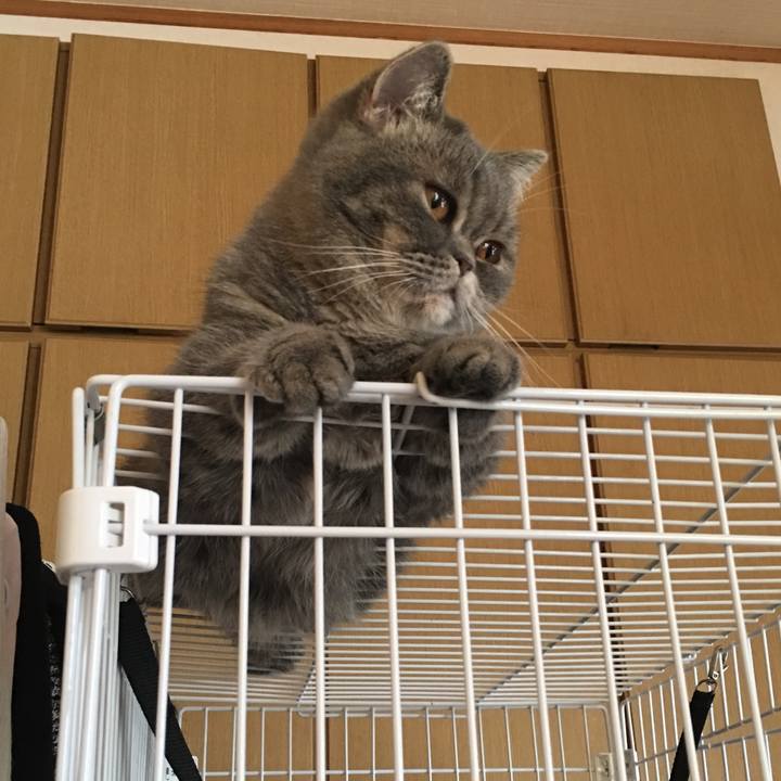 92726060 2c27 4df5 9549 737916f6c4ec