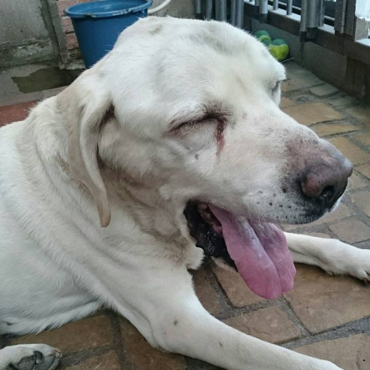 92729938 3297 403b 8863 8794cdc95e08