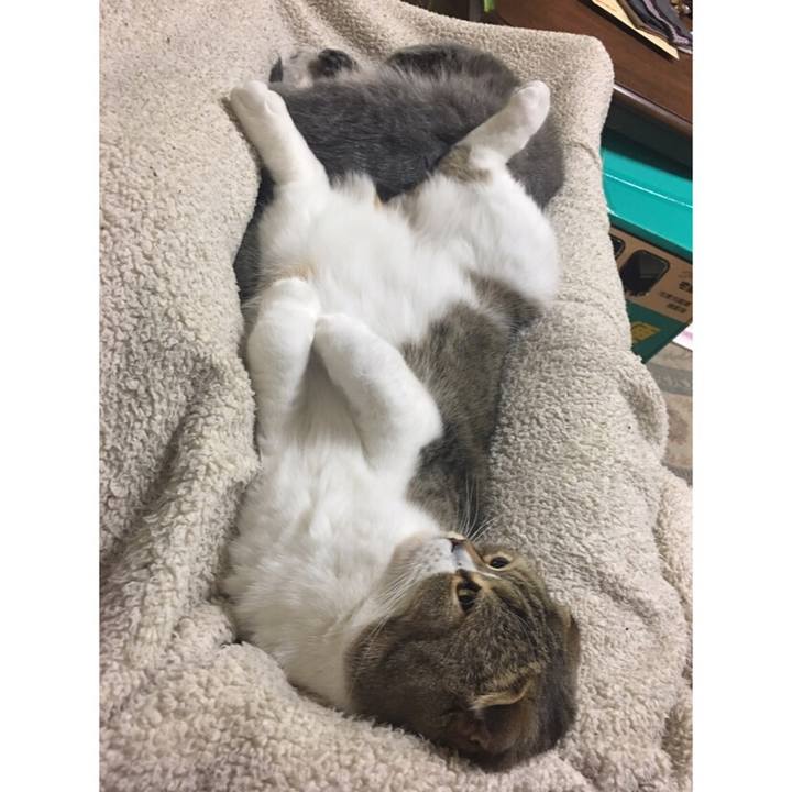 9272b3ec 9c2f 4638 82dd a6c1caaacfaf