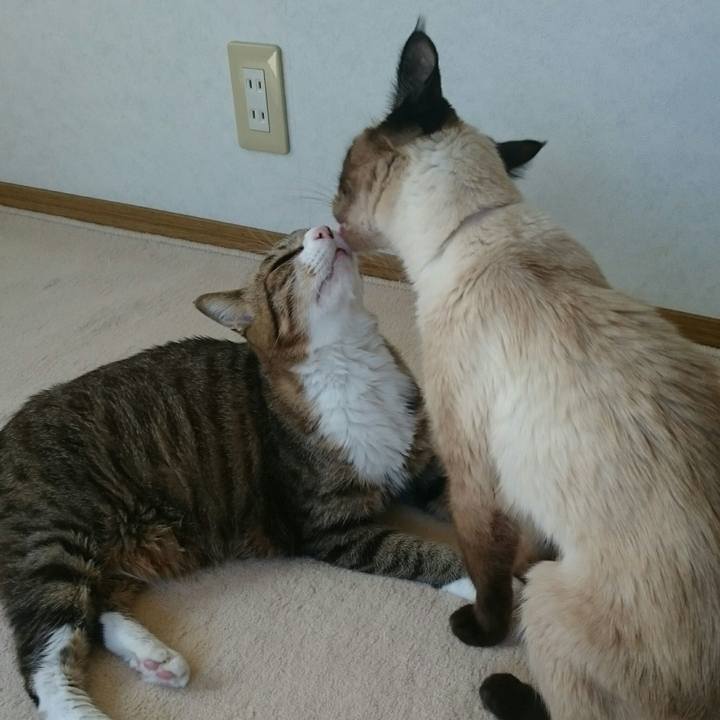 9273375b ca28 42b4 a698 b1d0d1ee49b1