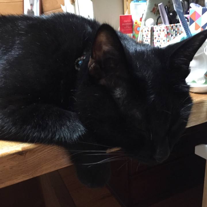 9273c8f9 b03b 4043 9ab8 5d9953fdcbec