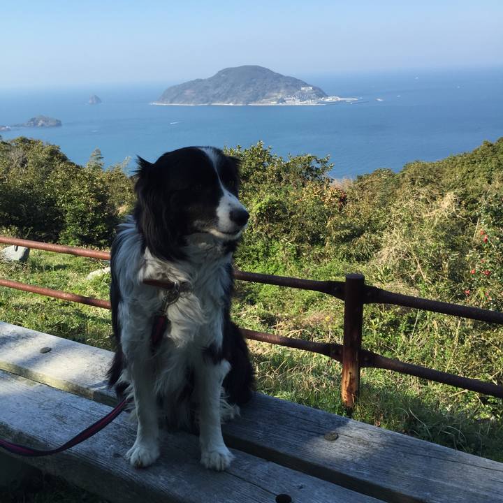 9273c9ac 55e2 47a1 8f2a 265b8e9e81e8