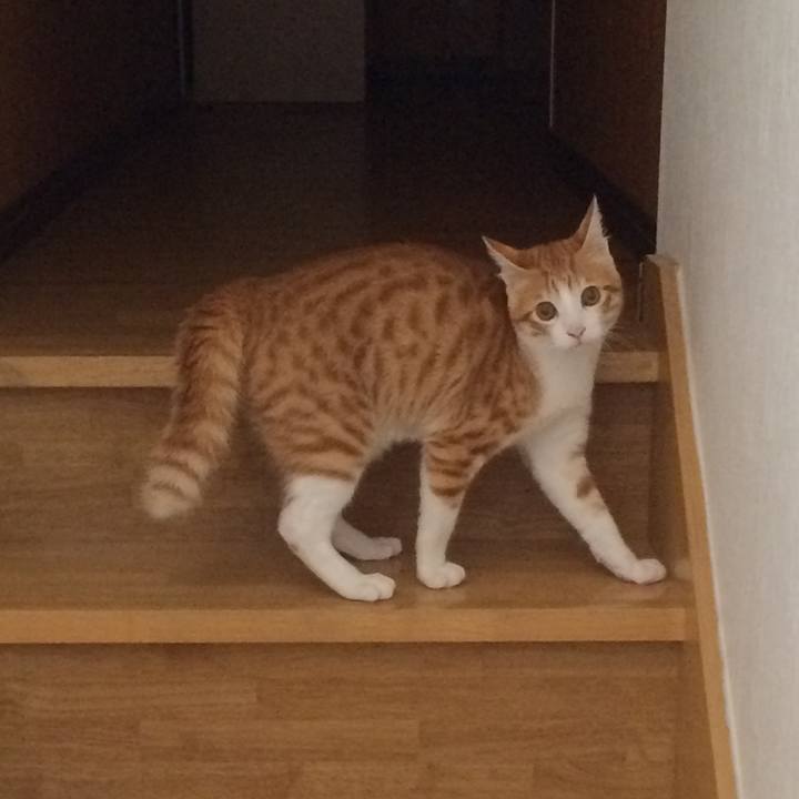 9274c1a9 37fb 4e64 8e0a 49b43780f711