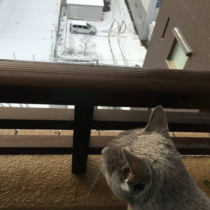 9274caf3 7aa4 4ded a97d c7c33823ee01