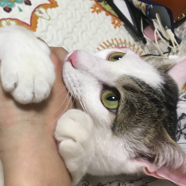 92750c70 3d0b 4fa4 a8e5 e4c4d9976fa4