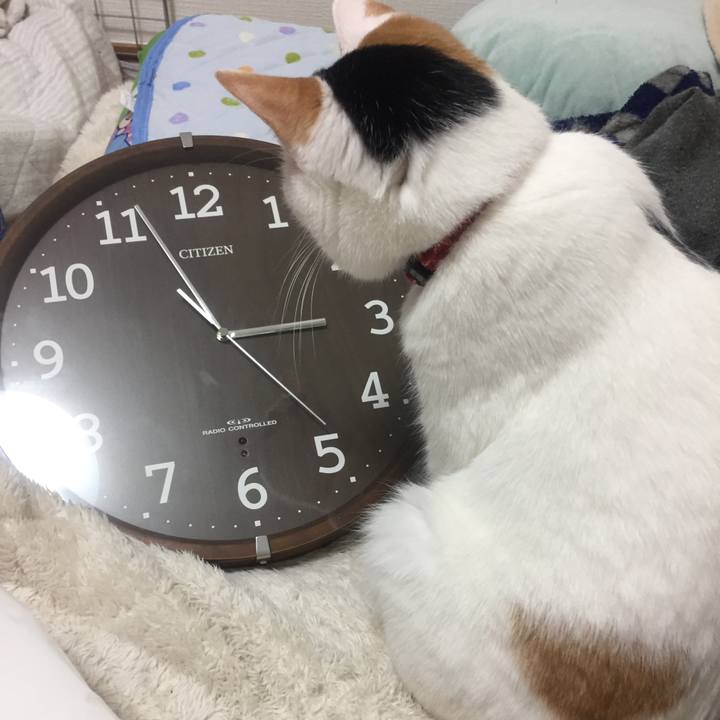 927522b2 7054 4251 8a09 3911106fa909