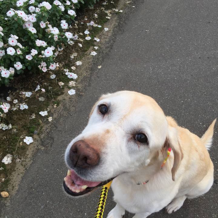 9275473b 9675 4df9 b78f 2cc84e1fcff9