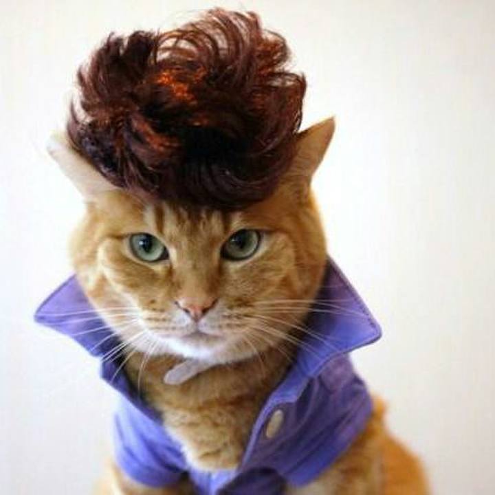 92756f88 20e6 48df a695 e8a2387baebe